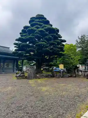 石川護國神社(石川県)