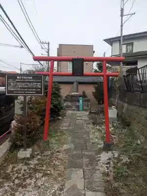 亀の子石神社（亀の子様）(神奈川県)