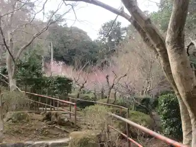 石山寺(滋賀県)