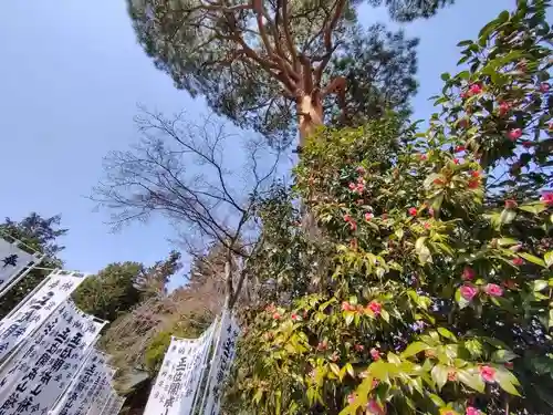 開成山大神宮(福島県)