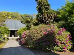 伊勢の国 四天王寺(三重県)(2023年04月27日(木) 10時00分02秒投稿)