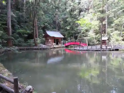 小國神社の自然