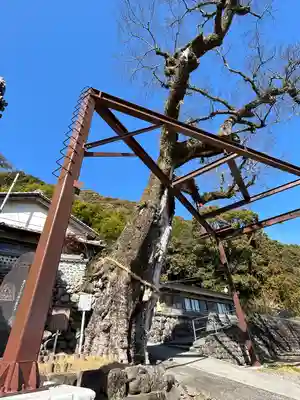 閑慶院(高知県)