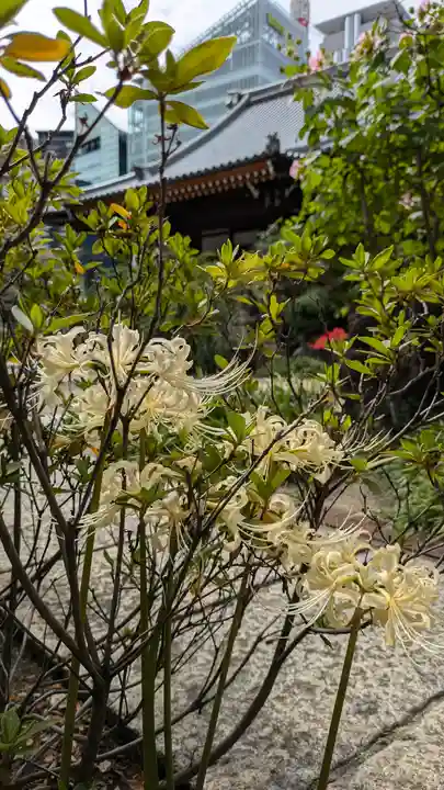 浜本山 源光寺(大阪府)