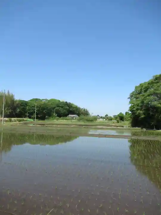 伏木香取神社(茨城県)