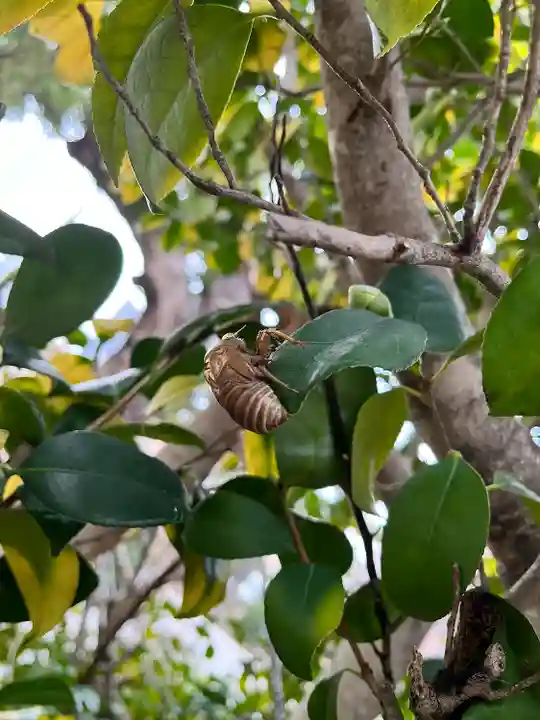 八宮神社(兵庫県)