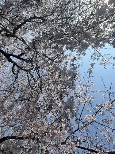 道成寺(和歌山県)