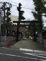 高円寺氷川神社の鳥居