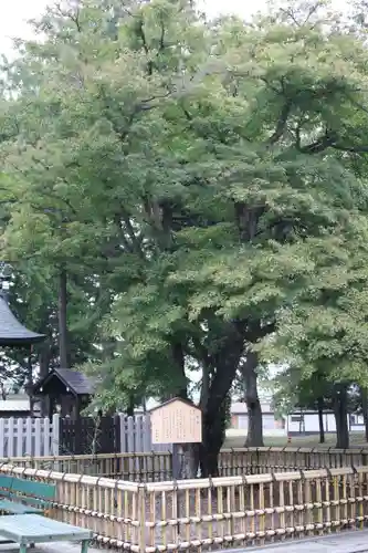 象山神社の庭園