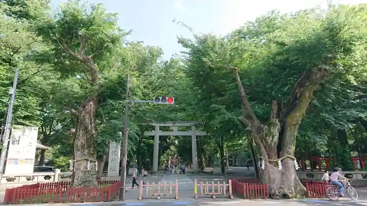 大國魂神社の鳥居