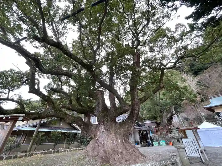 土肥神社(静岡県)