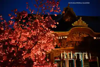 桜神宮(東京都)