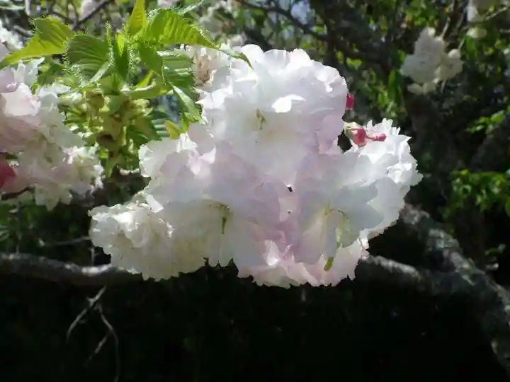 大田八幡宮(山口県)