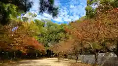 三津厳島神社の自然