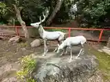 春日神社(京都府)