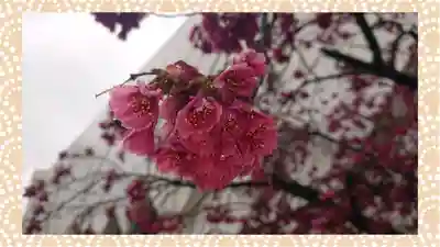 富士浅間神社(群馬県)