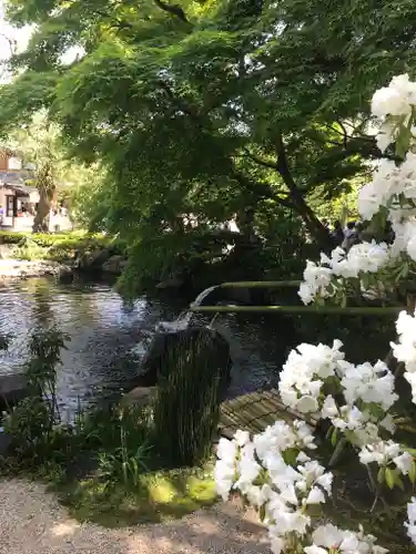 長谷寺の庭園