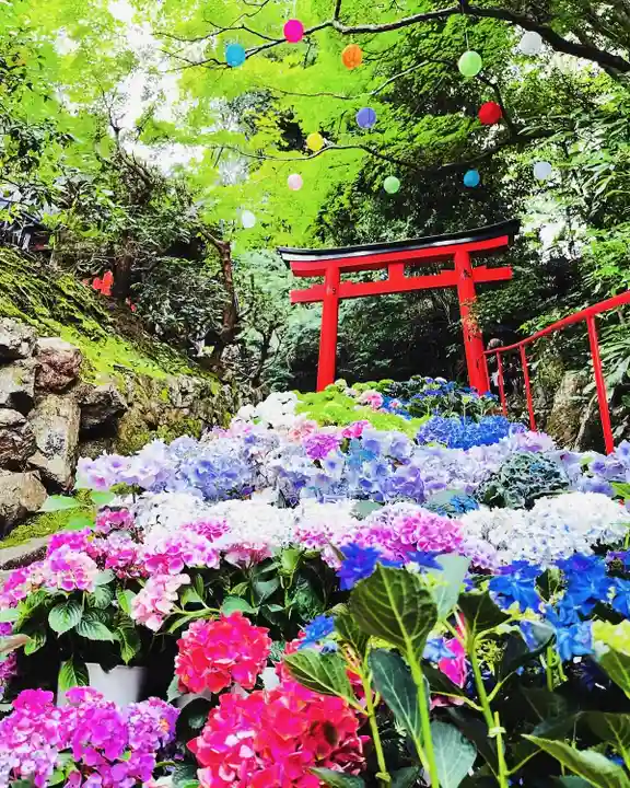 柳谷観音 楊谷寺(京都府)