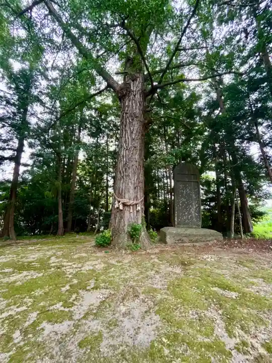 鹿嶋神社(宮城県)
