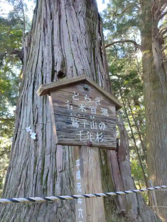 鷲子山上神社(栃木県)