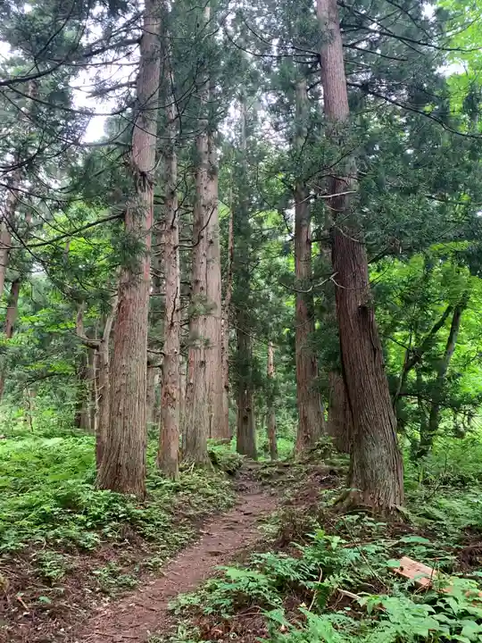 大山祇神社の周辺