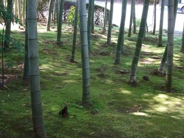 天台宗 長窪山 正覚寺の自然