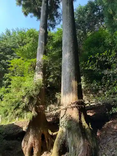 天一神社(奈良県)