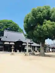 常光寺(大阪府)