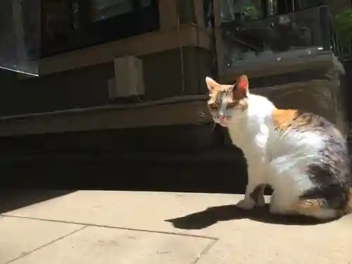 戸越八幡神社(東京都)