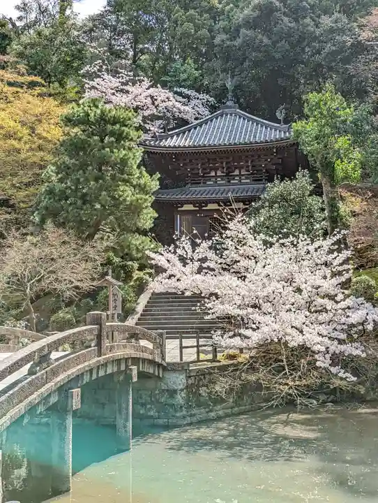 知恩院(京都府)