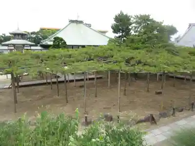 善養寺(東京都)