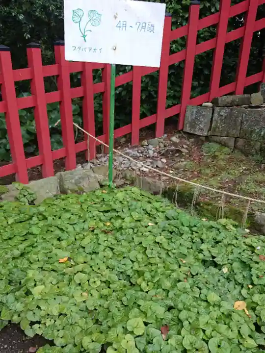 世良田東照宮の自然