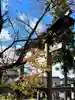 山家神社の鳥居