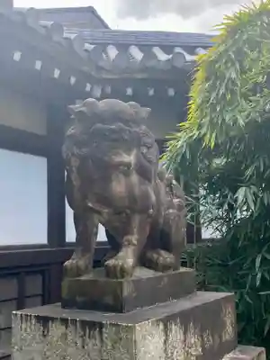 京都乃木神社の狛犬