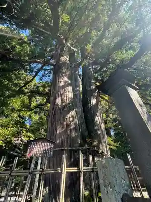 戸隠神社中社(長野県)