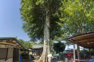 白山神社(東京都)