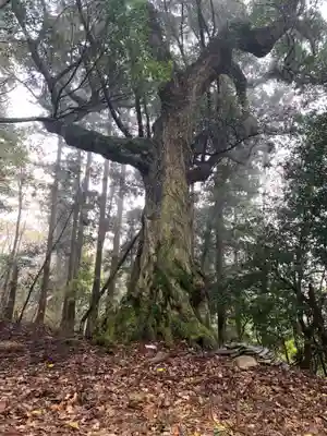 諏訪神社(千葉県)