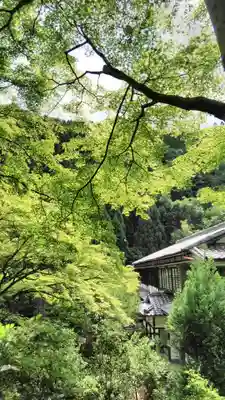 吟松寺の自然