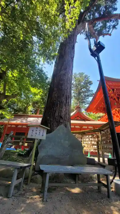 鹿島神宮の{uncategorized: "未分類", other: "その他", undefined: "問題あり", building: "その他建物", grave: "お墓", sacred_gate: "鳥居", guardian: "狛犬", statue: "像", buddha: "仏像", history: "歴史", nature: "自然", garden: "庭園", animal: "動物", pagoda: "塔", temizu: "手水舎", mountain_gate: "山門・神門", sanctuary: "本殿・本堂", subordinate: "末社・摂社", art: "芸術", scenery: "景色", jizo: "地蔵", ema: "絵馬", goshuin: "御朱印", omikuji: "おみくじ", items: "授与品その他", amulet: "お守り", goshuincho: "御朱印帳", eats: "食事", festival: "お祭り", votive_dance: "神楽", shichigosan: "七五三参", wedding: "結婚式", experience: "体験その他", initially: "初詣", around: "周辺", anti_infection: "感染症対策"}