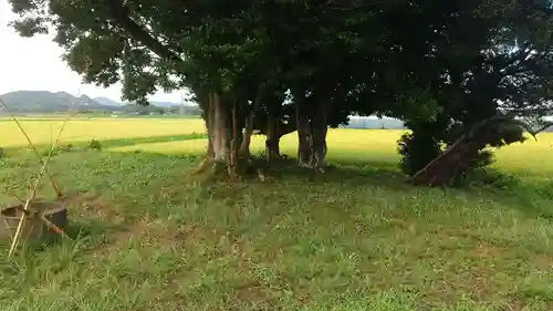 裏つくば、恋瀬川沿いの神社(茨城県)