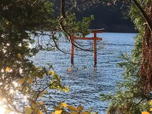 九頭龍神社本宮の鳥居