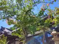 忌宮神社(山口県)