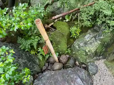 退蔵院(京都府)