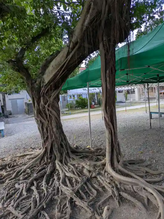 桃林寺(沖縄県)