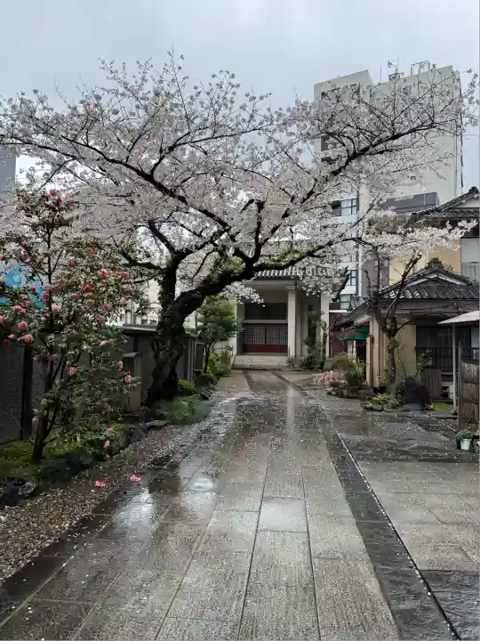 正洞院(東京都)