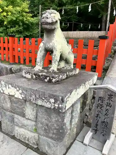 鶴岡八幡宮の狛犬