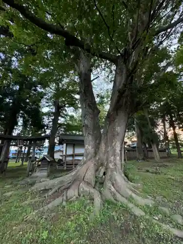 飯沼神社(長野県)