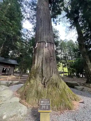 河口浅間神社(山梨県)