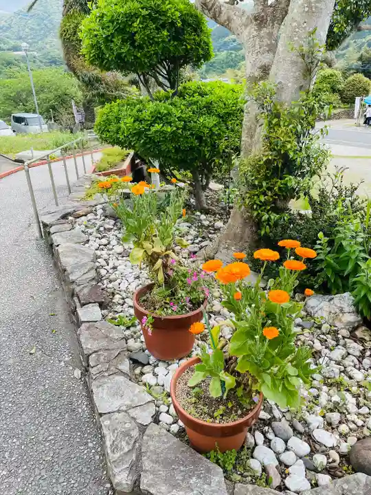 大江天主堂 (熊本県)