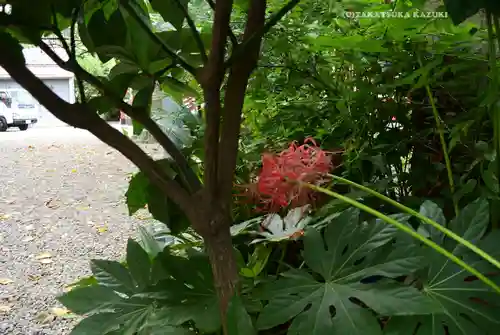 秋葉神社(東京都)